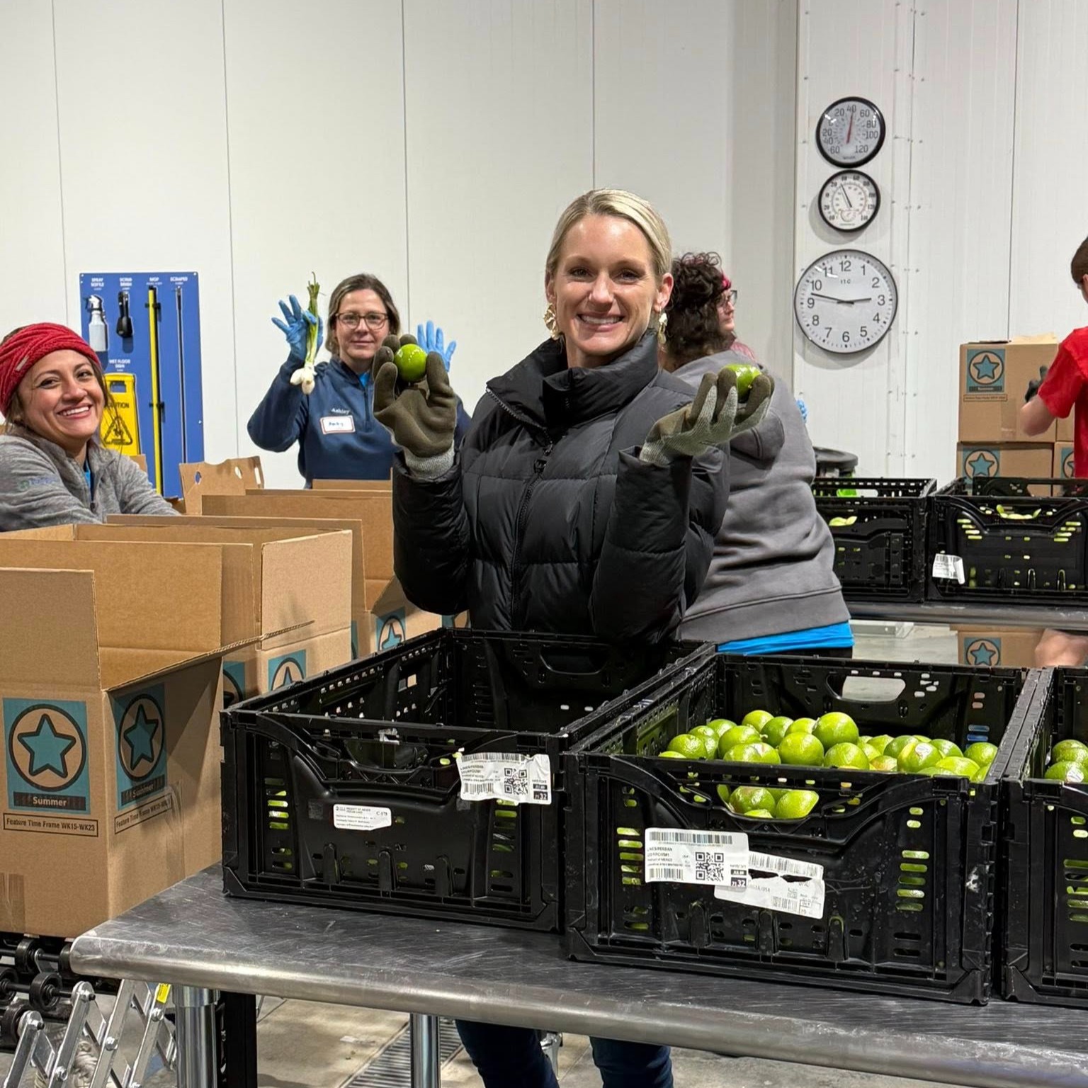 Operational work carried out by A P AFRICAN FOOD STORE LIMITED